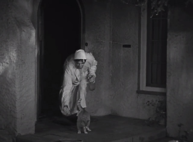 Another Wild Idea - Betty's father Frank Austin in nightshirt putting out empty milk bottle and tabby cat