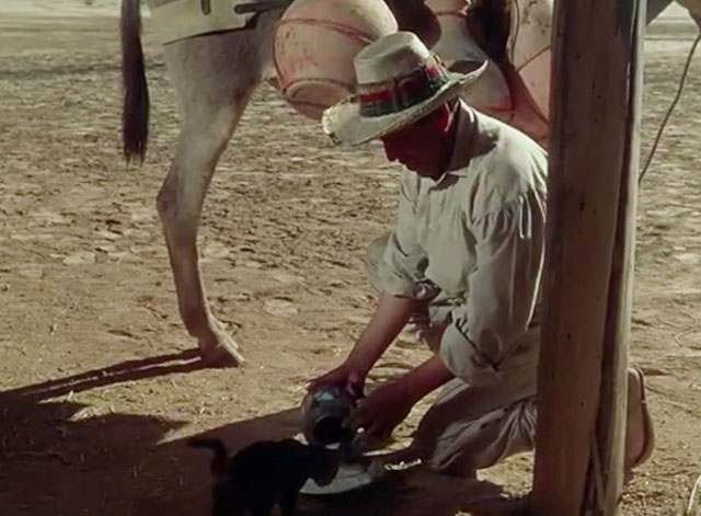 Apache Drums - Chaco Chinto Guzman pouring milk for grey tabby kitten