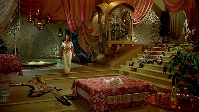 Arabian Adventure - longhair white cat on pallet in front of Princess Zuleira Emma Samms