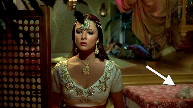 Arabian Adventure - longhair white cat in background behind Princess Zuleira Emma Samms