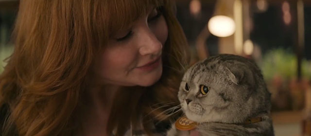 Argylle - Elly Bryce Dallas Howard with silver tabby Scottish fold cat Alfie Chip