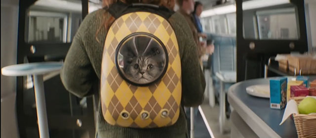 Argylle - silver tabby Scottish fold cat Alfie Chip in bubble backpack