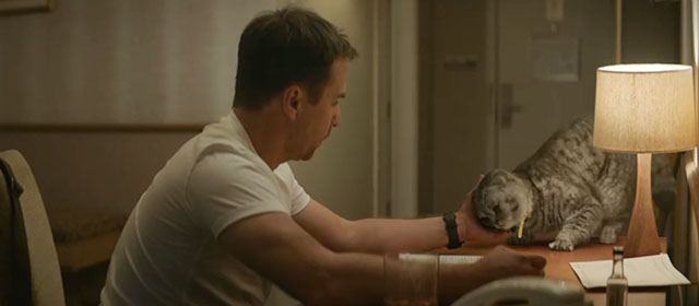 Argylle - silver tabby Scottish fold cat Alfie Chip being petted by Aidan Sam Rockwell hiding