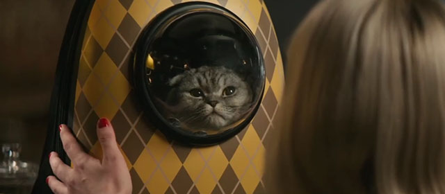 Argylle - silver tabby Scottish fold cat Alfie Chip in bubble backpack