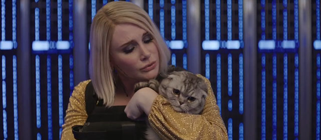 Argylle - Elly Bryce Dallas Howard holding silver tabby Scottish fold cat Alfie Chip