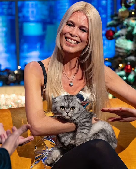 Argylle - Claudia Schiffer with silver tabby Scottish fold cat Chip on lap