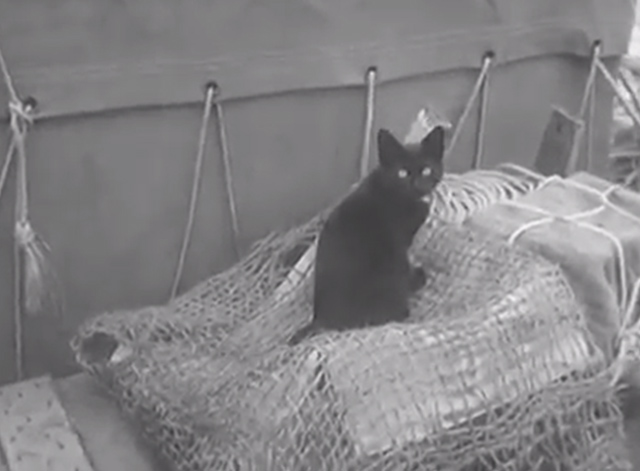 Atlantic kon-Tiki Arrives - black cat Puca seen on L'Egare the Second raft