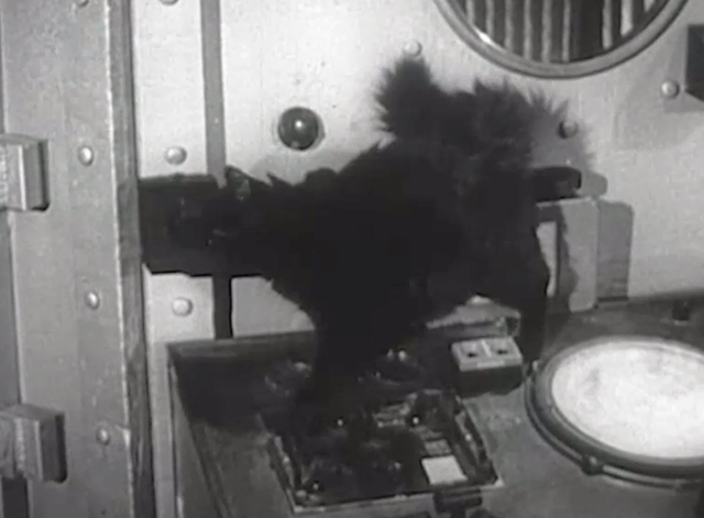 Monstrosity - The Atomic Brain - black cat Xerxes on atomic chamber control panel