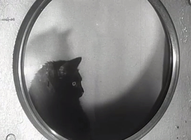 Monstrosity - The Atomic Brain - black cat Xerxes looking through round window into atomic chamber