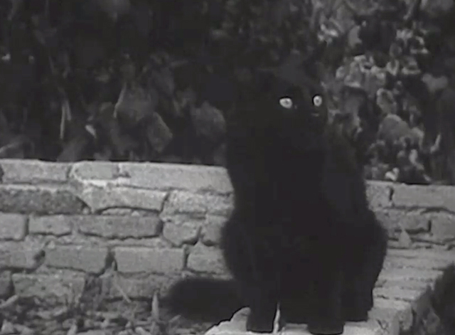 Monstrosity - The Atomic Brain - black cat Xerxes sitting on wall