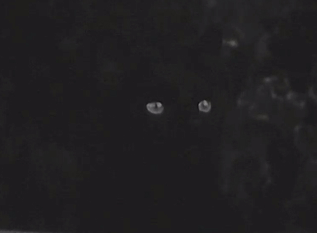 Monstrosity - The Atomic Brain - close up of black cat Xerxes
