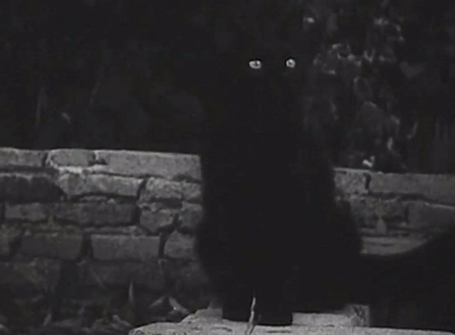 Monstrosity - The Atomic Brain - black cat Xerxes sitting on wall