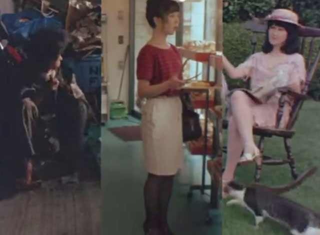 Attack on a Bakery - three way split screen with bag lady, woman in bakery and woman in garden with tabby and white bobtail cat