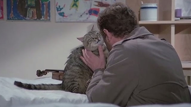 Attenti al Buffone - brown tabby cat Wolfgang Amadeus being hugged by Marcello Nino Manfredi