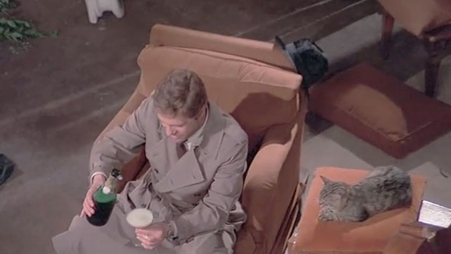 Attenti al Buffone - brown tabby cat Wolfgang Amadeus sitting next to Marcello Nino Manfredi