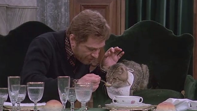 Attenti al Buffone - brown tabby cat Wolfgang Amadeus being fed with spoon by Marcello Nino Manfredi
