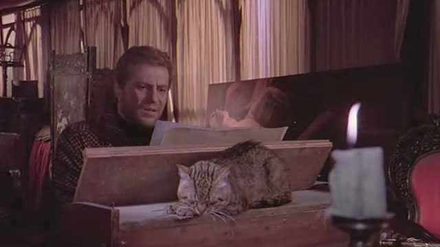 Attenti al Buffone - brown tabby cat Wolfgang Amadeus sleeping on organ in front of Marcello Nino Manfredi