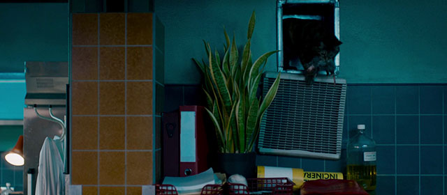 The Autopsy of Jane Doe - torbie cat Stanley Sydney coming out of air duct with rat in mouth