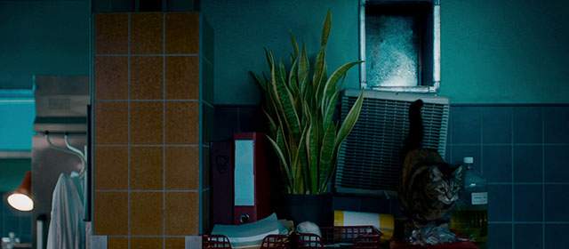 The Autopsy of Jane Doe - torbie cat Stanley Sydney with rat under air duct