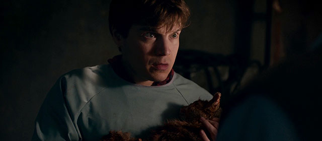 The Autopsy of Jane Doe - Austin Emile Hirsch with injured torbie cat Stanley Sydney