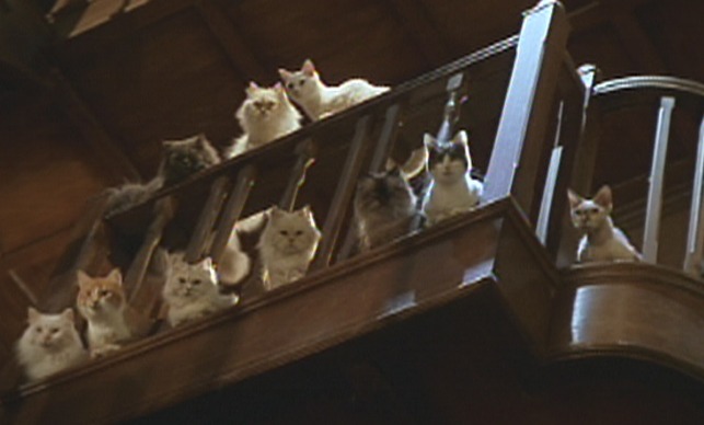 Babe: Pig in the City - the choir cats