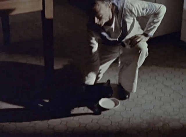 The Baby and the Battleship - Puncher John Mills with black cat drinking milk from saucer