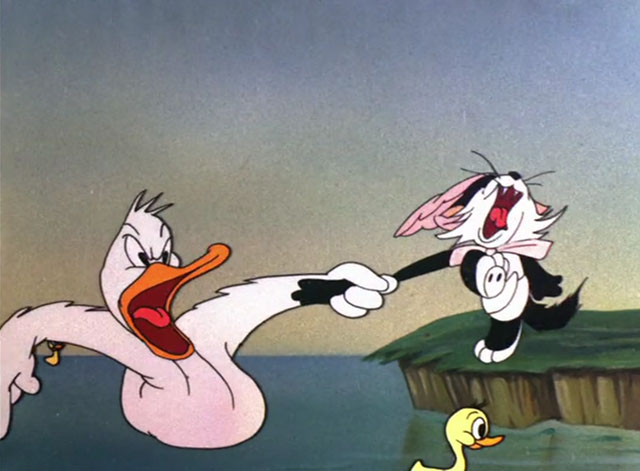 Baby Bottleneck - cartoon duck trying to get fighting black and white kitten to go into water