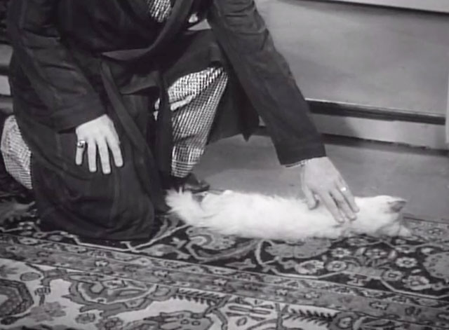 Backlash - Morland touching white cat Toby lying dead on floor