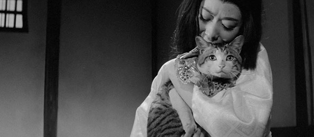 Bakeneko - Masumi Tachibana holding tabby and white cat Tama in room