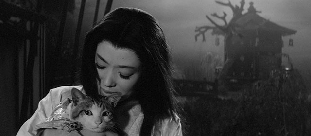 Bakeneko - Masumi Tachibana holding tabby and white cat Tama in swamp