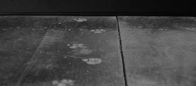 Bakeneko - cat paw prints on wooden patio