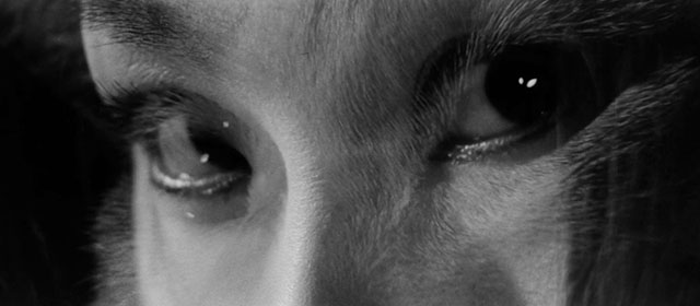 Bakeneko - transition between tabby and white cat Tama and Yuri Yuriko Mishima's eyes