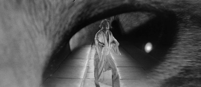 Bakeneko - extreme close up of tabby and white cat Tama eye with Nabeshima Ryôhei Ucida superimposed