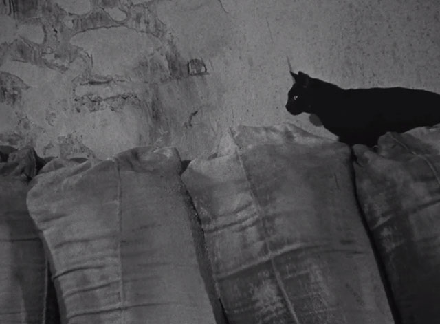 The Baker's Wife - black cat Pompon on flour bags