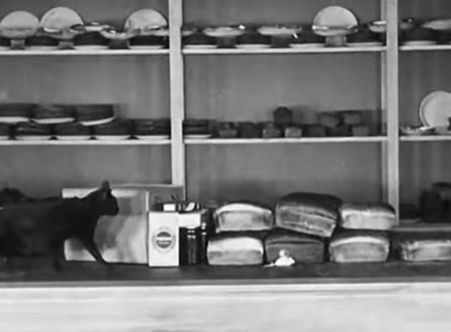 The Bakery - black cat approaching white mouse on counter