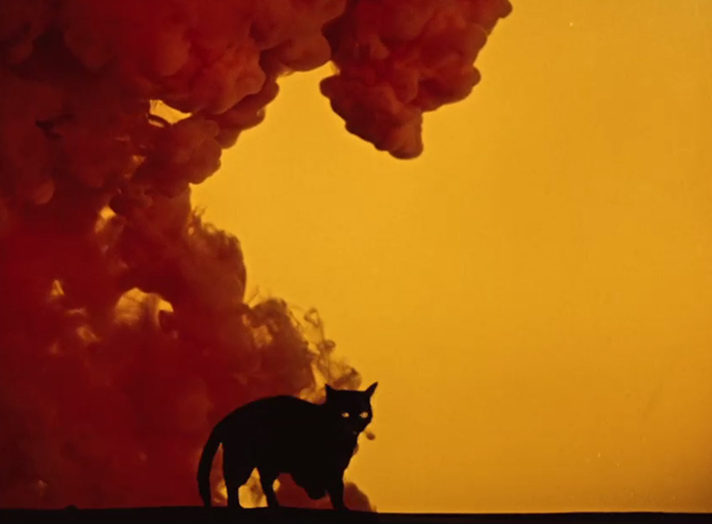 Baron Prasil - The Fabulous Baron Munchhausen - black cat fleeing burning city