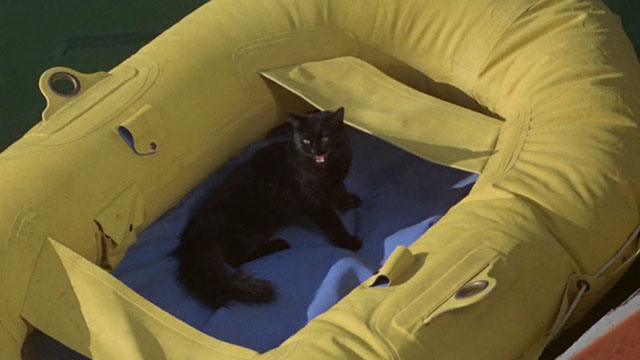 Batman the Movie - black cat Hecate meowing in rubber raft