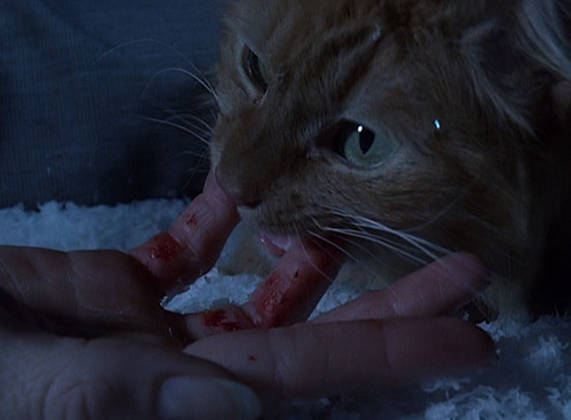 Batman Returns - Orange cat chewing on Selina's bloody fingers