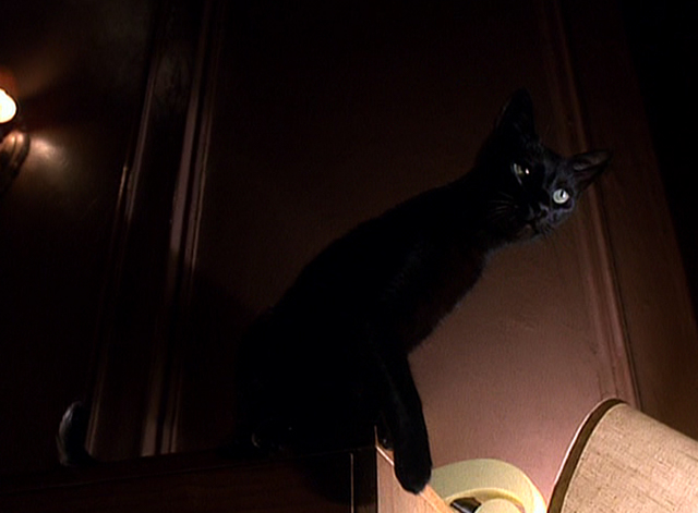 Batman Returns - black cat in Selina's apartment