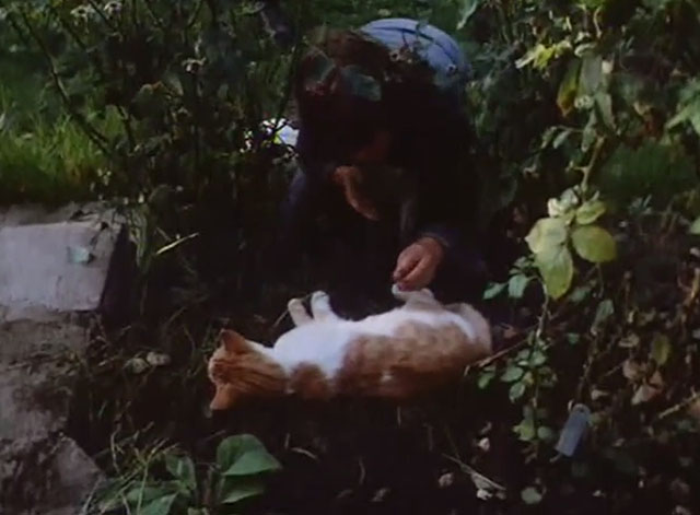 The Battle of Billy's Pond - Billy Ben Buckton finding young orange and white tabby cat lying in garden