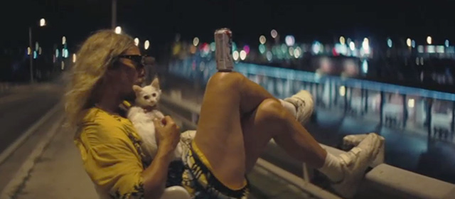 The Beach Bum - Moondog Matthew McConaughey sitting on bench with tiny white kitten