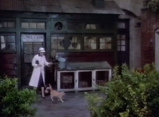 Beau James - Betty Compton Vera Miles walking with tuxedo, tabby and Siamese cats away from club