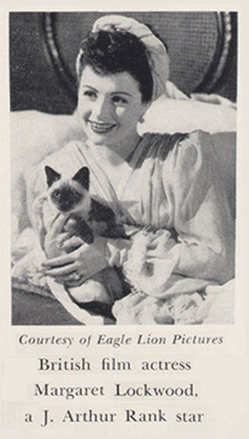 Bedelia - Bedelia Margaret Lockwood holding Siamese kitten