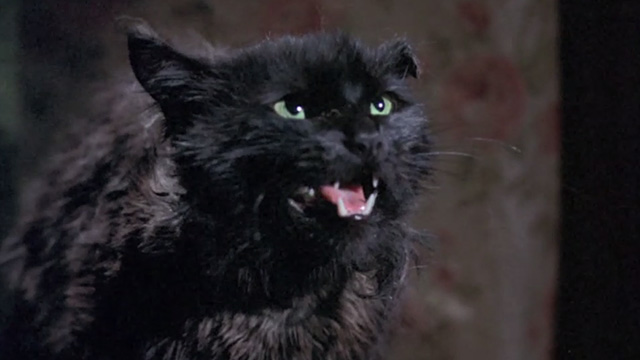 Bedknobs and Broomsticks - ragged black cat Cosmic Creepers hissing