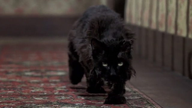 Bedknobs and Broomsticks - ragged black cat Cosmic Creepers stalking Charlie