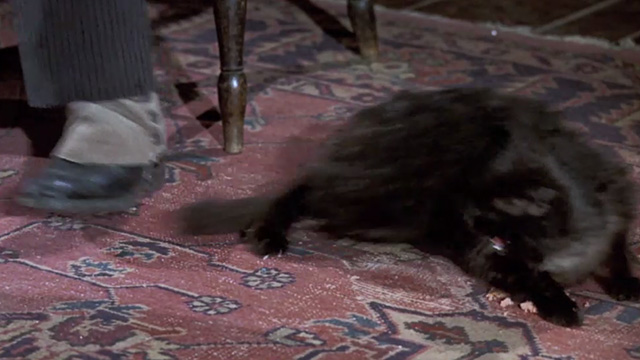 Bedknobs and Broomsticks - ragged black cat Cosmic Creepers runs away when tail is stepped upon
