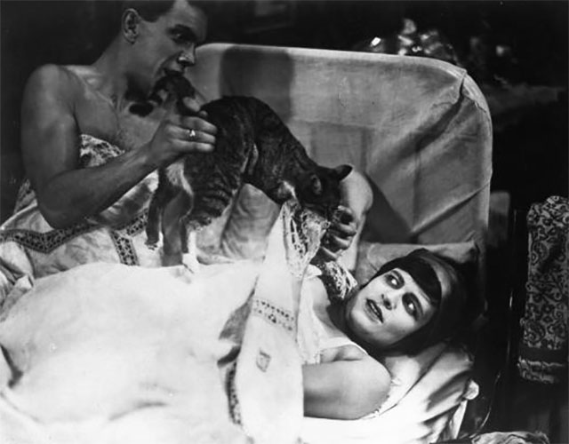Bed and Sofa - tabby cat being pushed in Liuda Lyudmila Semyonova face by Kolia Nikolay Batalov in bed