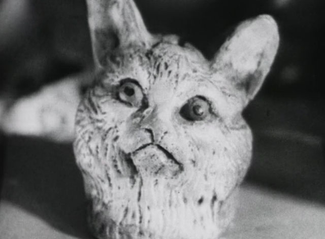 Bed and Sofa - class up of cat head figuring crying