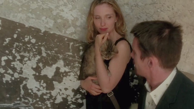 Before Sunset - tabby cat held by Celine Julie Delpy with Jesse Ethan Hawke walking up stairs