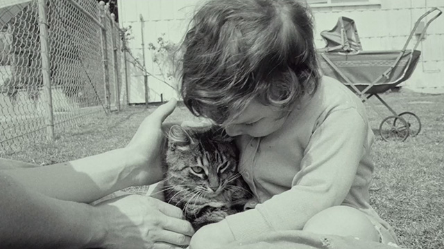 Beginners - black and white photo of baby girl holding tabby cat